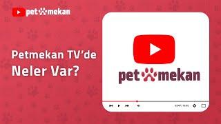 Petmekan TV'DE Neler Var? #petmekan #kedi #kediler #köpek #köpekler