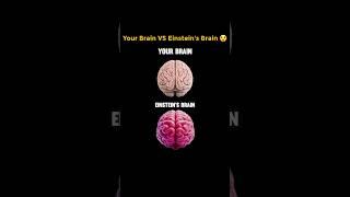 Your Brain VS Einstein's Brain  #shorts