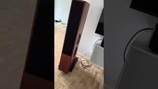 Good old Vienna Acoustics The Mahler. 2x 10" side bas, 2x 7" mid and 1" tweeter #loudspeaker