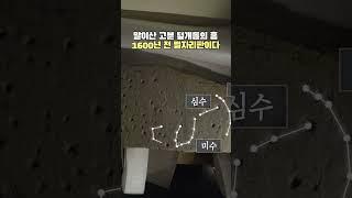 아라가야의 최고 지배자의 무덤에 새겨진 별자리