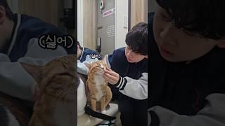 놀러나가는 짜근집사 발목잡는 오레오치즈 #cute #고양이 #cat