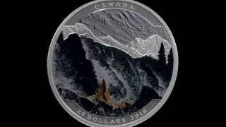 1 oz. Pure Silver Coloured Coin – Landscape Illusion: Salmon