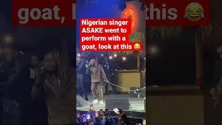 Adair went to perform with a Goat  #shorts #nigeria #asake #viral #foryou }•#trending #usa #fyp