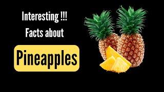 Interesting Facts About Pineapples | 5 Facts Hub