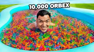 LLENE mi PISCINA con 10,000 ORBEX en el PATIO DE MI CASA - Alfredo Larin