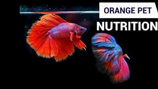 TETRABITS | TETRAMIN | ORANGE PET NUTRITION | AQUAGIC | AQUARIUM EXHIBITION | AQUAGIC EXHIBITION