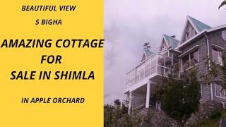 Beautiful Cottage for sale in Shimla