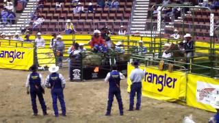 Rodeo: Steer Wrestling