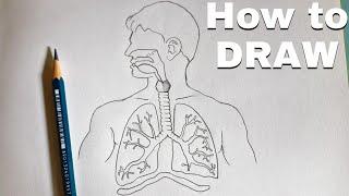 Human Respiratory system| how to Draw Human Respiratory system Diagram step by step Drawing