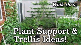 Trellis Plant Support Ideas + Vertical Urban Garden, Edible Landscape -Albopepper Walk thru