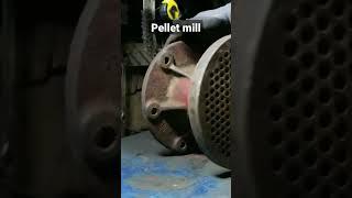 building pellet mill
