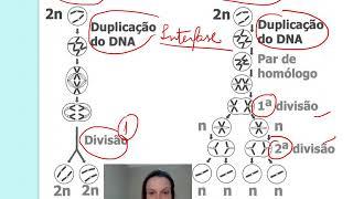 Ciclo de vida dos seres vivos - parte 01
