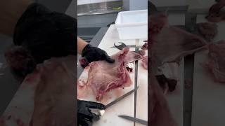 Triggerfish throats are so dang good!! What fish has your favorite collar/throat/wing meat!?