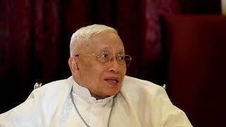 Hands of Mary, Mediatrix of All Grace explained by Cardinal Ricardo Vidal
