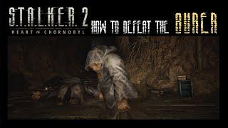 HOW TO DEFEAT THE BURER AT THE DIG SITE [ MAIN MISSION ] THE PRICE GOES UP | S.T.A.L.K.E.R 2