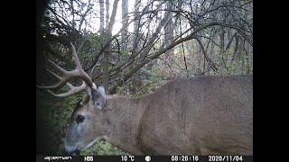 Mikes Trail Camera