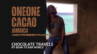 Interview with Nick from One One Cacao, Jamaican bean-to-bar chocolate maker