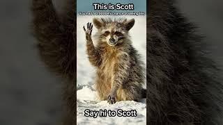 Say hi to Scott #fyp