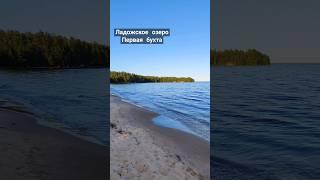 Ладожское озеро, Первая бухта, июль 2024 #озеро #природа #nature #ладожскоеозеро