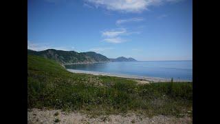 Бухта Тасовая - место с первозданной природой. Заповедник и подводный мир.