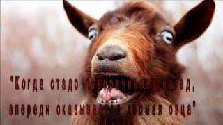 Триггерная болезнь мышц или грыжа? Корешковый синдром