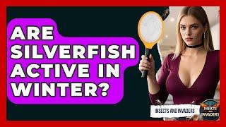 Are Silverfish Active In Winter? - Insects and Invaders