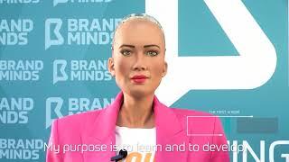 Sophia The Robot - What was Sophia created for?