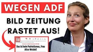 Bild kritisiert Weidel-Rede in USA & macht sich komplett lächerlich!