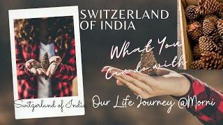Pine Cone Stories, What you can do with them | Switzerland of India