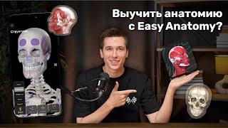 Как выучить анатомию? Обзор приложения Easy Anatomy | 3D Атлас, Конспекты, Видео, Флеш-карты