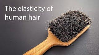 The elasticity of hair