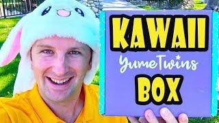 Japanese Cuteness Every Month - Yumetwins Kawaii Box