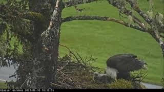 Glacier Gardens Eagle Nest ~ Glacier Gardens, Juneau, Alaska ~ 10 June 2023