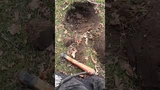 Metal Detecting #metaldetecting #metaldetector #equinox600