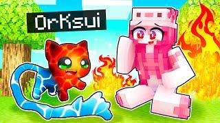 Minecraft als STÄRKSTE ELEMENT-KATZE spielen!