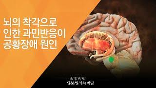 뇌의 착각으로 인한 과민반응이 공황장애 원인 - (20121229_442회 방송)_현대인의 마음병 - 불안장애