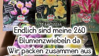 Allerlei Blumenzwiebeln für‘s Frühjahr