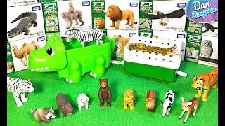 Takara Tomy Baby Wild Animals - Lion, Tiger, Bear, Cow, Red Panda, Deer, Racoon, Eagle, Crocodile