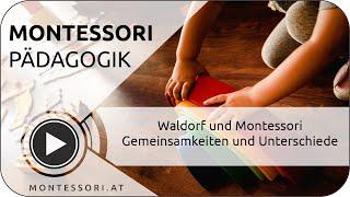 Waldorf - Montessori: Gemeinsamkeiten und Unterschiede [Österreichische Montessori-Akademie]