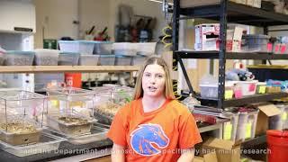 Boise State Student Experience: College of Arts and Sciences (Science) Edition