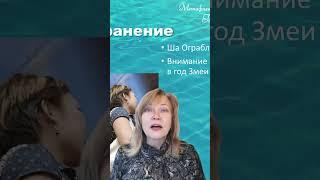 Как не выкинуть нужное? Краткий прогноз на среду 01 ноября 2023 года