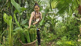 Single mother harvests dong leaves to sell. Buys nails and hinges to build wooden house walls