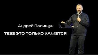 Тебе это только кажется  |  Андрей Полищук