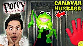 CANAVAR KURBAĞA KERMİT POPPY PLAYTIME  OYUNA GEL