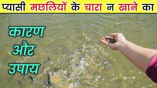 प्यासी मछलियों के चारा न खाने का || कारण और उपाय || Fish Farming