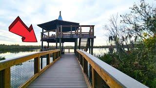 Sawgrass Lake Park St Petersburg Florida Walking Tour