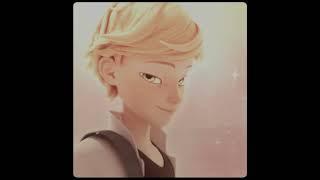 adrien agreste. that's the caption 