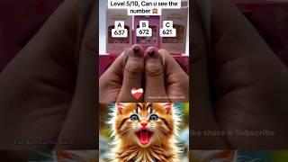 can you see the Right Number #shorts #cat #bombastic
