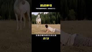 抗戰時期的一匹傳奇戰馬，被日軍俘虜卻不屈不撓，直到最后的死守