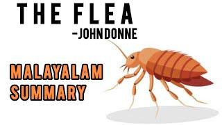 The Flea by John Donne in Malayalam | The flea poem | #britishpoetry